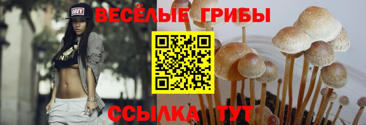 Галлюциногенные грибы Magic Shrooms Зима